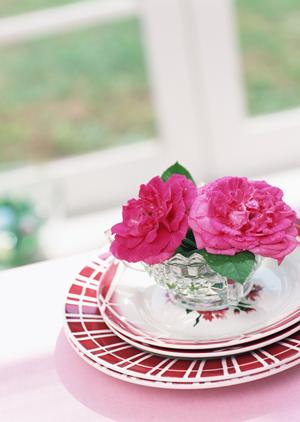 定額のお葬式なら葬祭情報紹介センター